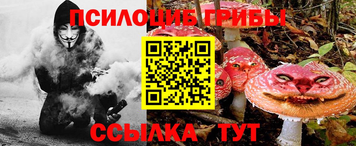 Урус-Мартан  Псилоцибиновые грибы MAGIC MUSHROOMS  Вход с VPN 
