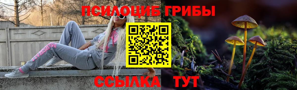 Псилоцибиновые грибы мухоморы Урус-Мартан